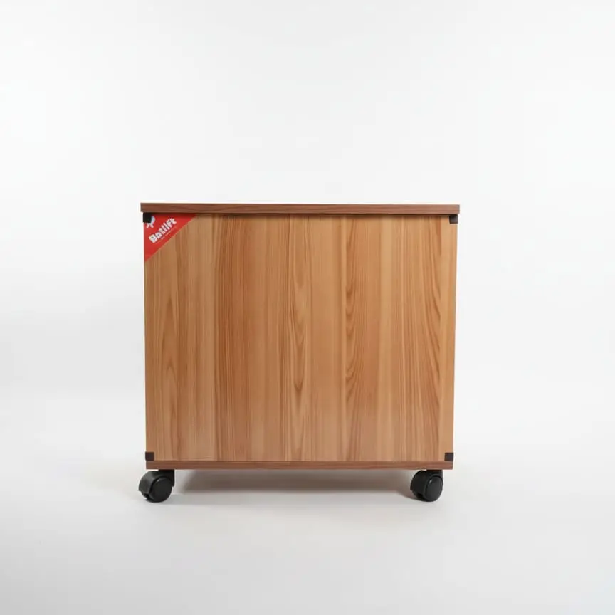 batlift light brown inverter trolley